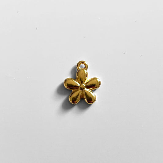 Charms N*24