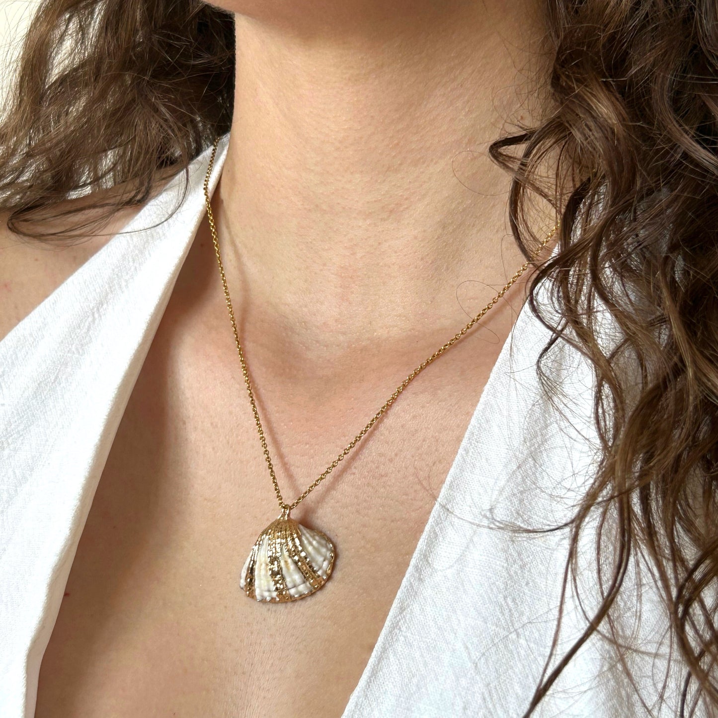 Collier coquillage