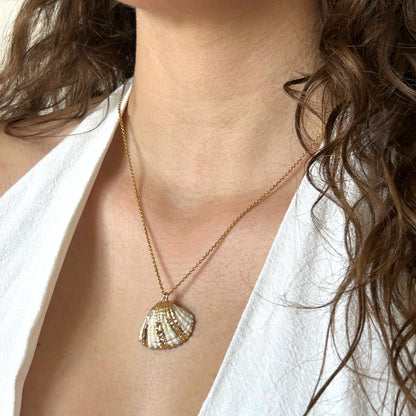 Collier coquillage
