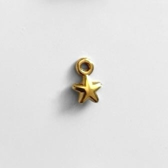 Charms N*31